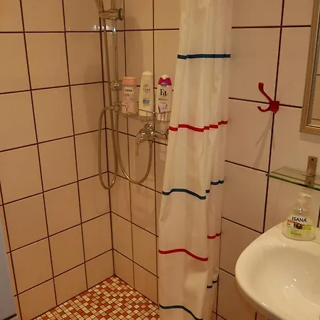 Reusa Plauen